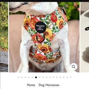 NWT HOUNDS OF EDEN DOG HARNESS S FLORAL